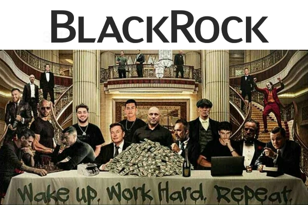 Strategi elite dunia bertahan saat market turun dengan fokus cashflow dan data